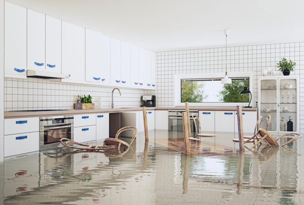 Hochwasserschaden Aufräumen